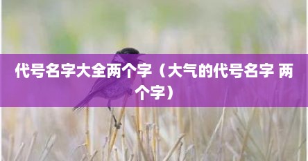 代号名字大全两个字（大气的代号名字 两个字）