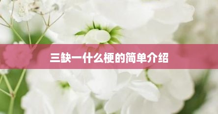 三缺一什么梗的简单介绍