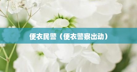 便衣民警（便衣警察出动）