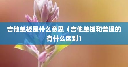 吉他单板是什么意思（吉他单板和普通的有什么区别）