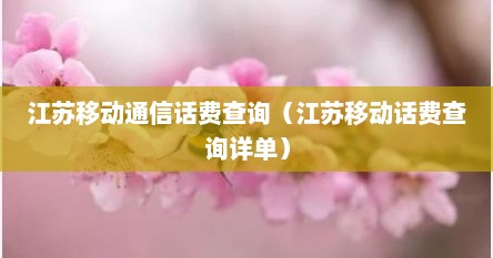 江苏移动通信话费查询（江苏移动话费查询详单）