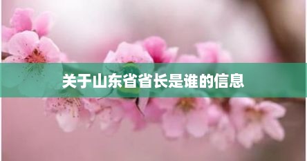 关于山东省省长是谁的信息