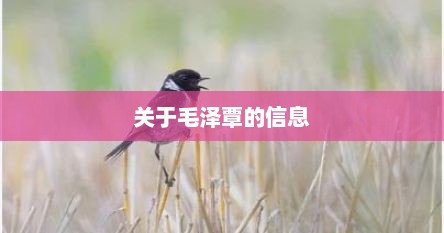 关于毛泽覃的信息