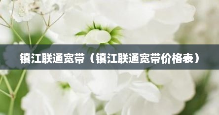 镇江联通宽带（镇江联通宽带价格表）