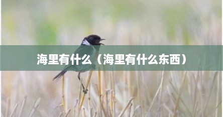 海里有什么（海里有什么东西）