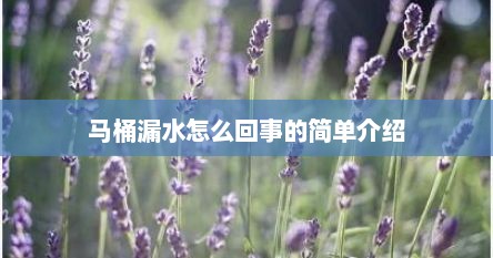 马桶漏水怎么回事的简单介绍