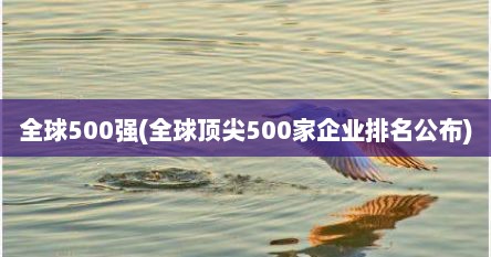 全球500强(全球顶尖500家企业排名公布)