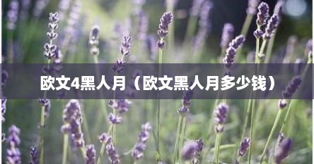 欧文4黑人月（欧文黑人月多少钱）