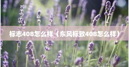 标志408怎么样（东风标致408怎么样）