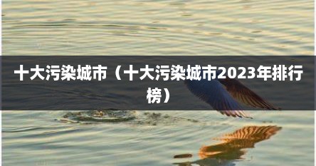 十大污染城市（十大污染城市2023年排行榜）