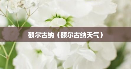 额尔古纳（额尔古纳天气）