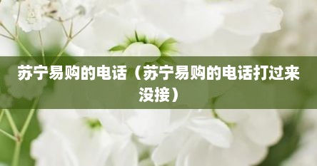 苏宁易购的电话（苏宁易购的电话打过来没接）