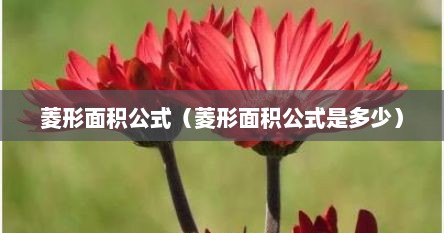 菱形面积公式（菱形面积公式是多少）