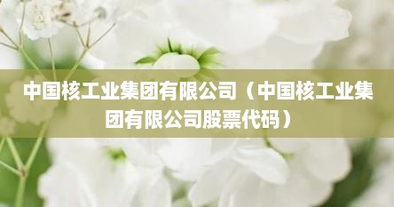 中国核工业集团有限公司（中国核工业集团有限公司股票代码）