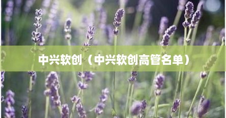 中兴软创（中兴软创高管名单）