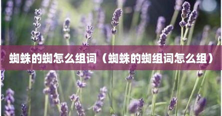 蜘蛛的蜘怎么组词（蜘蛛的蜘组词怎么组）