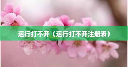 运行打不开（运行打不开注册表）