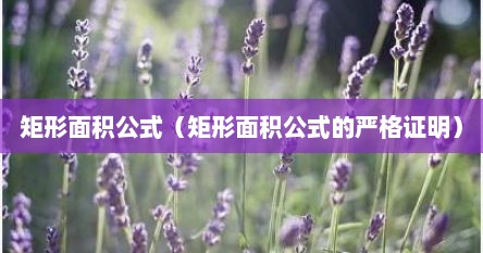 矩形面积公式（矩形面积公式的严格证明）