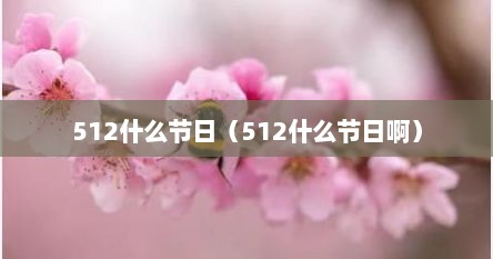 512什么节日（512什么节日啊）