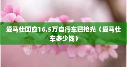 爱马仕回应16.5万自行车已抢光（爱马仕车多少钱）