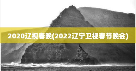 2020辽视春晚(2022辽宁卫视春节晚会)