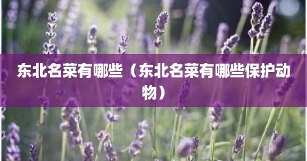 东北名菜有哪些（东北名菜有哪些保护动物）