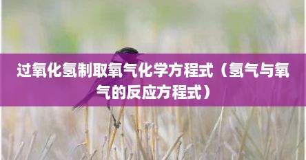 过氧化氢制取氧气化学方程式（氢气与氧气的反应方程式）