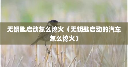 无钥匙启动怎么熄火（无钥匙启动的汽车怎么熄火）