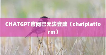 CHATGPT官网已无法登陆（chatplatform）