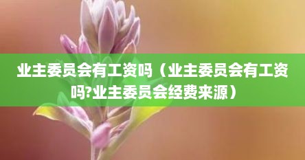 业主委员会有工资吗（业主委员会有工资吗?业主委员会经费来源）