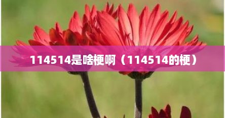 114514是啥梗啊（114514的梗）