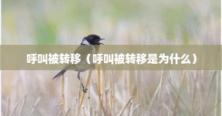 呼叫被转移（呼叫被转移是为什么）