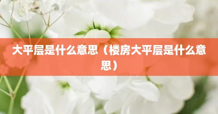 大平层是什么意思（楼房大平层是什么意思）