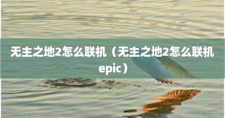 无主之地2怎么联机（无主之地2怎么联机epic）