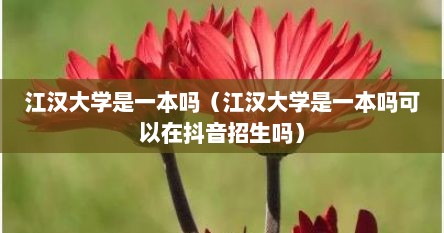 江汉大学是一本吗（江汉大学是一本吗可以在抖音招生吗）