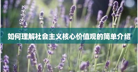 如何理解社会主义核心价值观的简单介绍