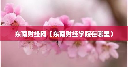 东南财经网（东南财经学院在哪里）