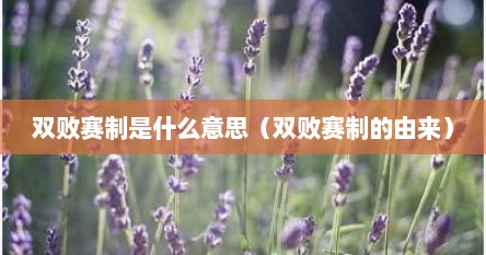 双败赛制是什么意思（双败赛制的由来）