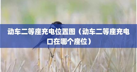 动车二等座充电位置图（动车二等座充电口在哪个座位）