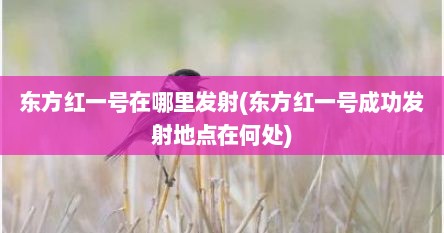 东方红一号在哪里发射(东方红一号成功发射地点在何处)