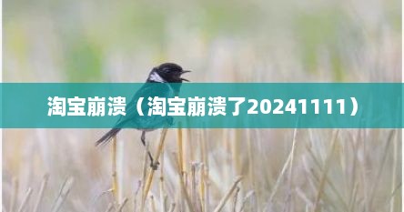 淘宝崩溃（淘宝崩溃了20241111）