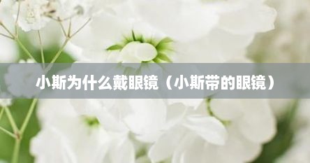 小斯为什么戴眼镜（小斯带的眼镜）