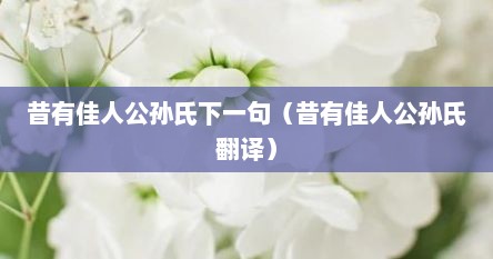 昔有佳人公孙氏下一句（昔有佳人公孙氏翻译）