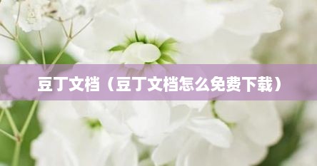 豆丁文档（豆丁文档怎么免费下载）