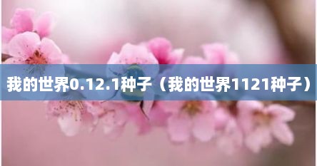 我的世界0.12.1种子（我的世界1121种子）