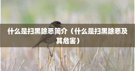 什么是扫黑除恶简介（什么是扫黑除恶及其危害）