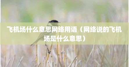 飞机场什么意思网络用语（网络说的飞机场是什么意思）