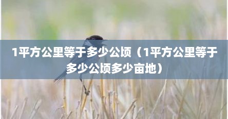 1平方公里等于多少公顷（1平方公里等于多少公顷多少亩地）