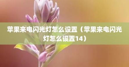 苹果来电闪光灯怎么设置（苹果来电闪光灯怎么设置14）