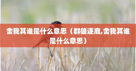 舍我其谁是什么意思（群雄逐鹿,舍我其谁是什么意思）